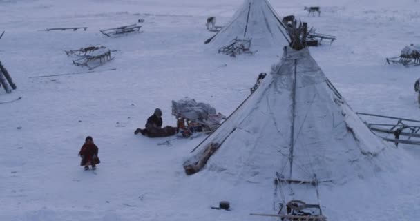 Boldog gyerekek a gyermekkori mellett a rénszarvasok a yurts tábor közepén sarkvidéki. lövés a piros epikus — Stock videók