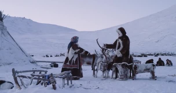 Közepén Yamal a yurts tábor férfi és a nő visel hagyományos ruhákat szőrme, gyorshajtás nap kívül rénszarvasok, elképesztő elfog video — Stock videók