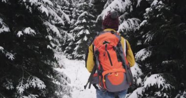 Karizmatik turist tam bir sert kış gününde yeni bir keşif için donanımlı o büyük bir ağaç ile karlı ormanı keşfetmek o yolculuk zevk mutlu
