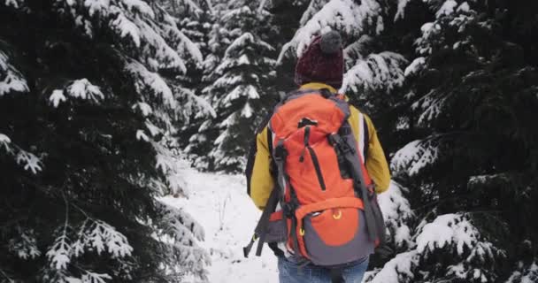 Харизматичный турист, полный снаряжения для новой экспедиции в суровый зимний день он исследует снежный лес с большим деревом счастливым он наслаждается поездкой — стоковое видео