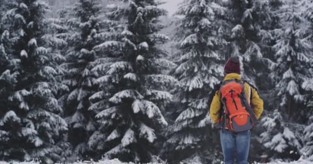 Характерний турист подорожує наодинці з великою задньою сумкою через засніжений ліс у важкий зимовий день він ходить щасливим і дуже схвильованим — стокове відео
