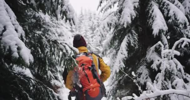 彼は背中に大きなオレンジ色のバッグを持って雪の中を歩いて、素晴らしい雪の森を旅する格好良い若者の観光客 — ストック動画