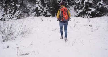 Sadece tam donanımlı o karlı orman keşfetmek istiyor seyahat karlı alan genç turist yürüyüş