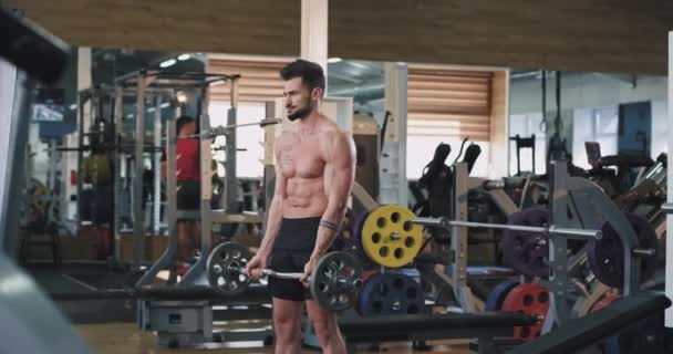 Koncentrált brutális sportos férfi egy tornaórán csinál ő edzés gyakorlatokat a bicepsz felemeli a súlyok — Stock videók