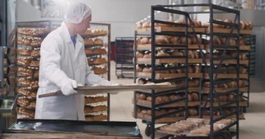 Profesyonel fırıncı yaşlı adam iyi görünümlü çiğ ekmek dolu büyük tepsi almak ve fırına onları taşımak için hazır almak için raflara yük pişmiş olmak