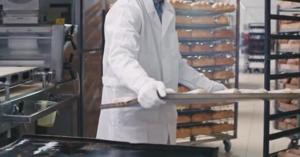 Hombre maduro de buen aspecto en uniforme blanco carga el crudo criado en los estantes para ser transportado al horno para hornear todo el criado, en una gran industria de panadería — Vídeo de stock