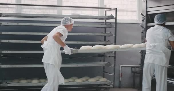Fırında iki profesyonel işçi, diğer bölümde taze pişmiş ekmek taşınan, endüstriyel fırın makinesine raftan çiğ ekmek yük — Stok video