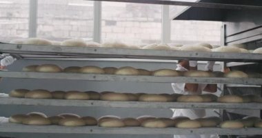Endüstriyel fırın makinesinde yük bekleyen çiğ ekmek bir fırın fabrikası büyük raflar ayrıntıları, iki profesyonel işçi raf yük
