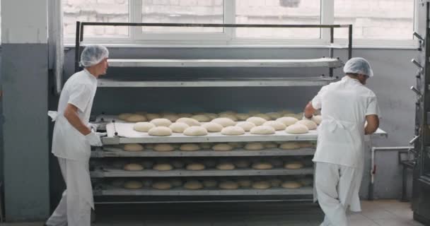 La charge de pain cru de l'étagère dans la machine de four industriel dans une grande industrie de boulangerie, le boulanger principal a marché autour dans un bel uniforme spécial, un autre travailleur avec des étagères transporté le frais — Video