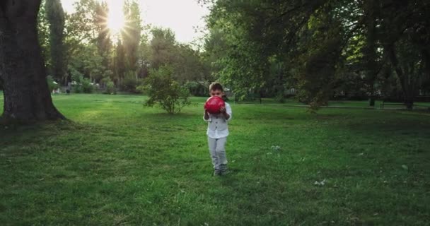 Bello bello piccolo ragazzo con una palla rossa che cammina attraverso l'erba in mezzo a un grande parco verde — Video Stock