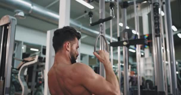 Retrato de un hombre concentrado con cuerpo en forma trabajando en pesas de levantamiento de pesas para sus bíceps y tríceps — Vídeo de stock