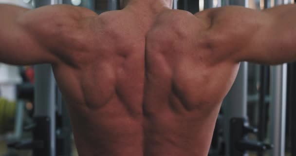 Сучасний тренажерний клас підходить чоловікові, роблячи тренування на його трицепсах м'язів концентрованих важко працювати — стокове відео