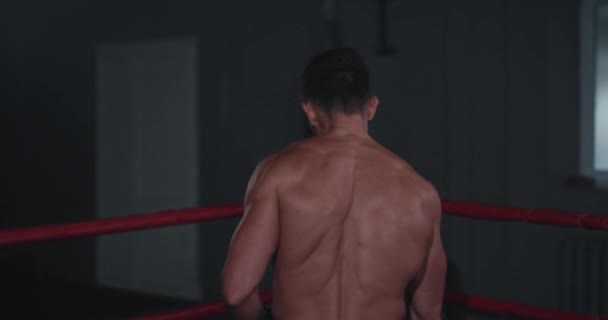 V boxerském ringu atletický chlap s dokonalým tělem připravte se začít jeho intenzivní cvičení cvičení cvičení — Stock video