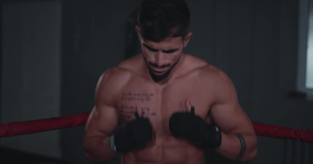 Porträtt framför kameran snygg atletisk kille har en boxning träning i mitten av boxningsringen — Stockvideo