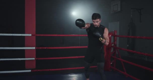 W środku ringu bokserskiego wysportowany facet z boksem mięśniowym ma intensywny trening — Wideo stockowe