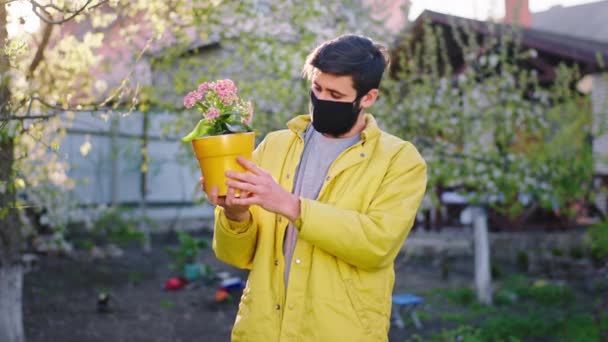 Framför kamerakillen i karantänen med en skyddande mask som håller i en kruka med en rosa blomma tar han hand om blomman i pandemisk Covid -19 — Stockvideo