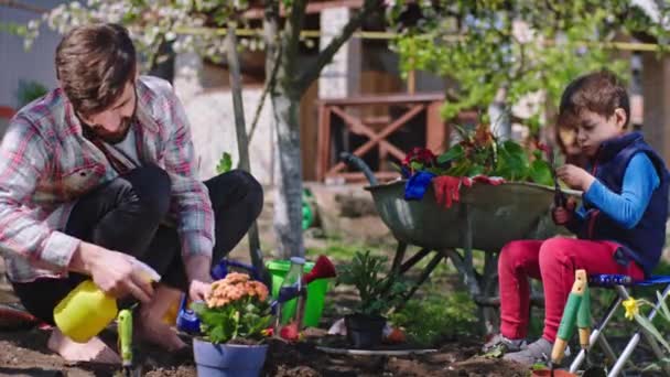 I en solig dag karismatisk liten pojke och hans pappa har en rolig tid i trädgården de plantera några blommor i marken chatta och njuta av stunden tillsammans — Stockvideo