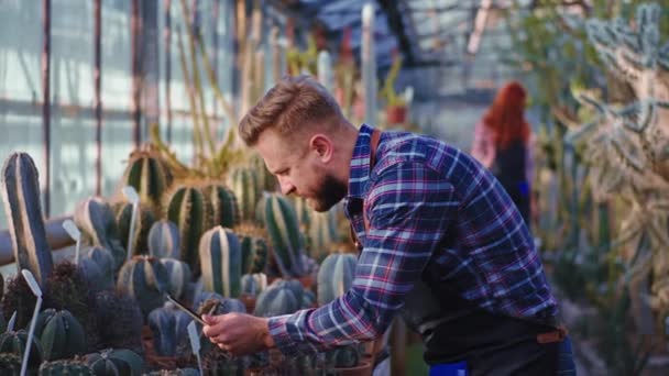 工業用温室庭師の男性では、集中して作業している彼は、他の庭師の女性が植物の後に世話をする装飾植物の背景の状態をチェックしました。ARRIシネマカメラで撮影 — ストック動画