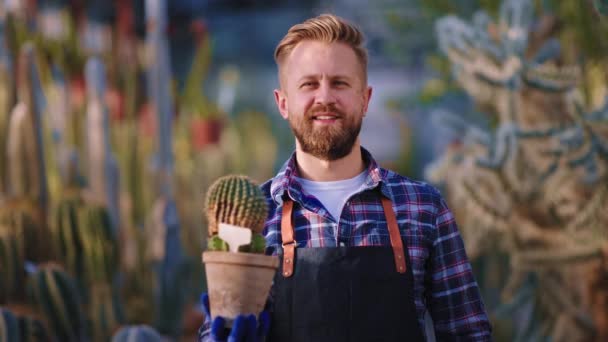 Ентузіаст чоловік садівник тримає милий кактус в горщику посеред сільськогосподарської теплиці, яку він позує і показує великий як — стокове відео