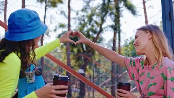 Delante de la cámara en un parque moderno dos hermosas damas disfrutando del tiempo mientras beben un poco de café y hacen un pequeño corazón lindo de las manos — Vídeo de stock