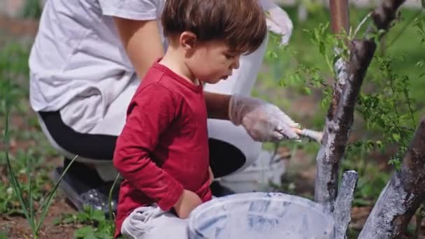 かわいい男の子と彼の若い母親は、彼らが自然の後に気に庭の白いチョークで木を描く — ストック動画