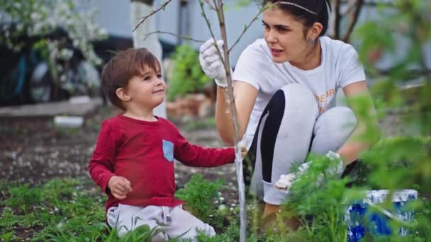 Giovane madre insegnare al suo bambino a prendersi cura della natura e per proteggere gli alberi ragazzo carino profumando con amore un piccolo albero mentre dipingono l'albero con un gesso bianco. 4k — Video Stock