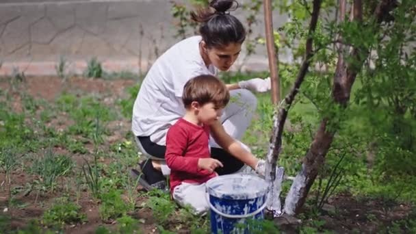 В саду дома мать и его харизматичный сын рисуют дерево белым мелом. Они проводят время вместе. — стоковое видео