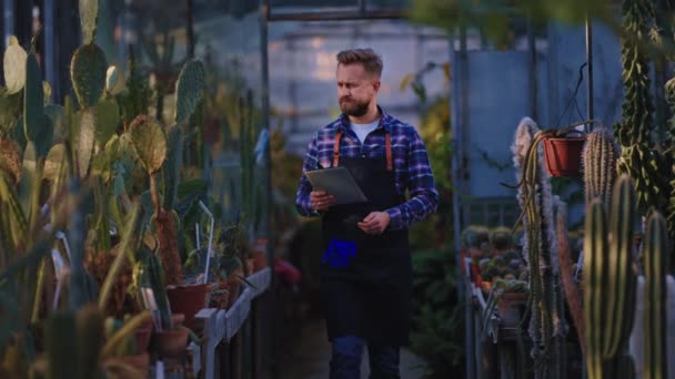 電気タブレットを持って温室内を歩くカリスマ的な男農業彼は装飾植物の状態をチェックしました — ストック動画