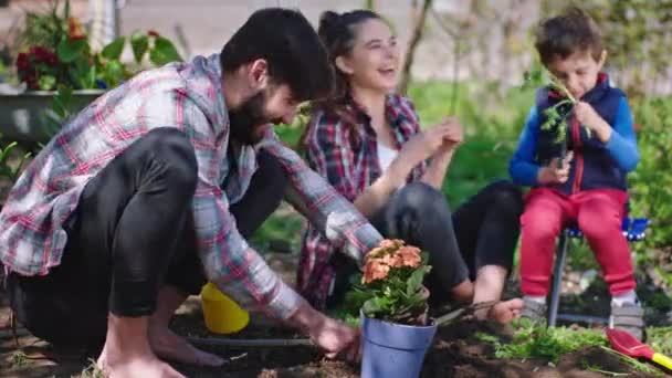 Glückliche Momente im Garten Junge Eltern verbringen Zeit mit ihrem kleinen Sohn sie lächeln groß, während sie einige Pflanzen pflanzen — Stockvideo