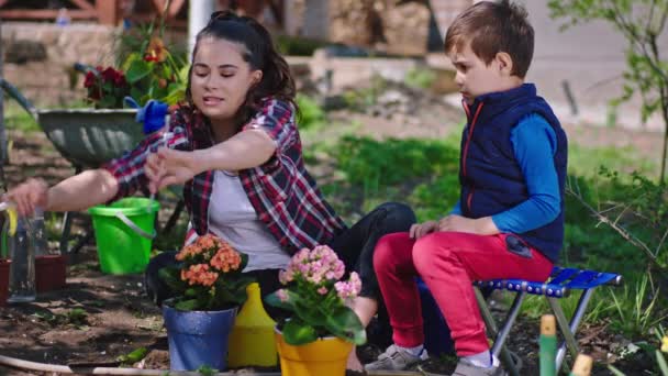 A kertésznő és a kisfia együtt dolgoznak a kertben. Gondoskodnak a virágokról a fazekakból. — Stock videók