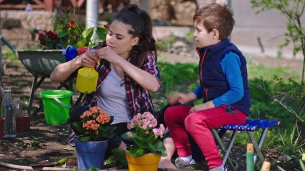 Perfecto día soleado madre y su carismático hijo pequeño pasar un buen rato en el jardín mamá enseñando al niño pequeño cómo derecho a cuidar después de las flores que juegan juntos disfrutando del tiempo — Vídeo de stock