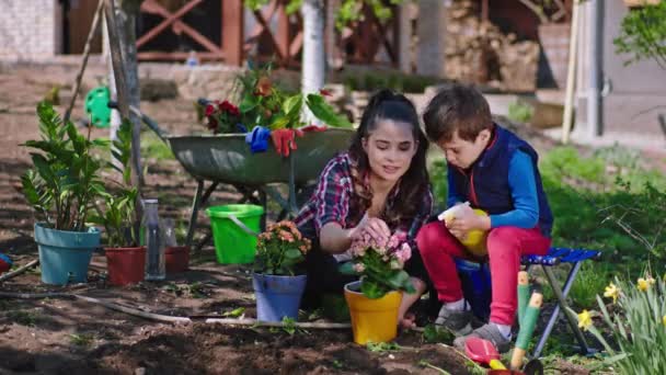 Eğlence zamanı anne ve küçük oğlu bahçede fıskiyeyle oynuyorlar. Tatlı küçük çocuk annesine serpiştiriyor. Gülümsüyorlar ve eğleniyorlar. — Stok video