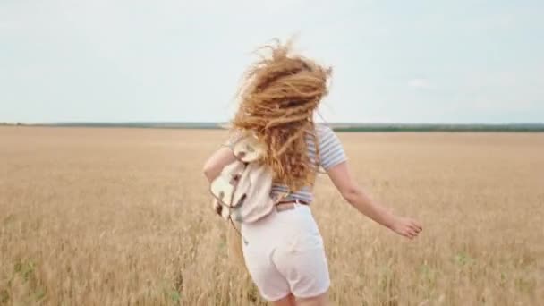 田舎から小麦畑の美しい女性の真ん中を走っていると、彼女は自由を感じ、自分自身と一緒に時間を楽しんでいます — ストック動画