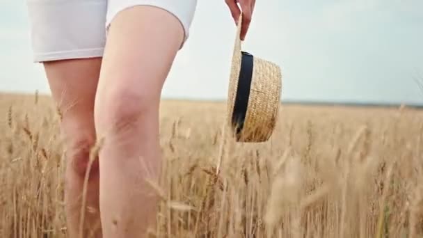 Детали перед камерой в середине пшеничного поля ходьба женские ноги она держит шляпу в руке — стоковое видео