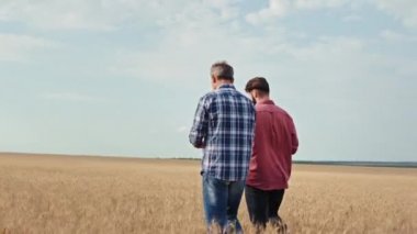Yaşlı adam baba ve oğlu buğday tarlasında yürürken tarımla ilgili gelecek planları hakkında tartışıyorlar.