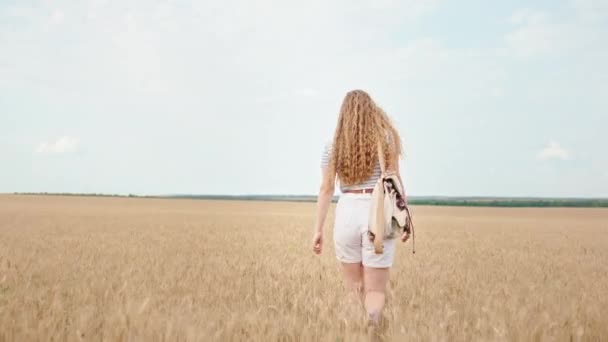 In der Mitte eines großen Weizenfeldes spaziert eine schöne Touristin durch das Feld, berührt den Weizen und genießt die Zeit, in der sie auf den Weizen fällt und sich entspannt fühlt — Stockvideo