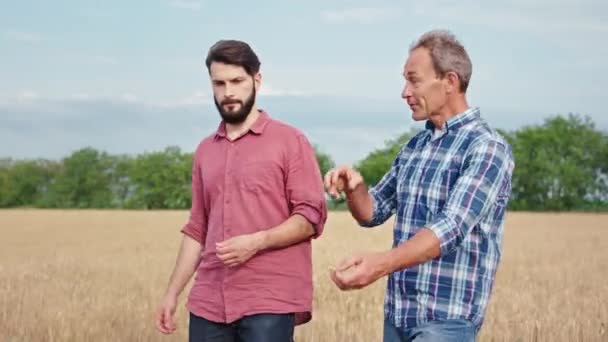 Ein alter Bauer und sein Sohn diskutieren inmitten eines jungen Weizenfeldes, sie gehen durch den Weizen und analysieren etwas — Stockvideo