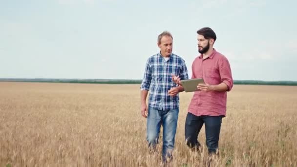 Contadino felice e carismatico vecchio e suo figlio in un grande campo di grano a piedi e discutere di nuove tecnologie di piantagioni che utilizzano tablet elettronico per questo — Video Stock