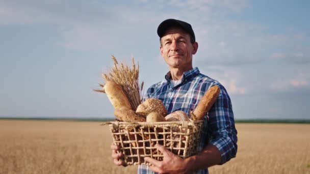 Концепция сельского хозяйства и сельского хозяйства харизматичный зрелый мужчина фермер в середине пшеничного поля с коробкой, полной свежего хлеба — стоковое видео