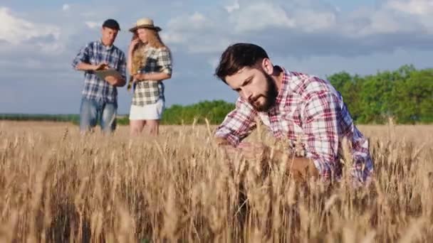 Conceito de empresa familiar de agricultura e agricultor velho agricultor explicar algo para sua filha usando tablet eletrônico no meio do campo de trigo dourado um cara sentado e analisando o — Vídeo de Stock