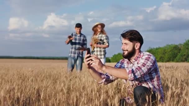 Büyük bir buğday tarlası aile mesleği kavramında tarım yapan yaşlı bir çiftçi ve aile buğdayları mutlu bir şekilde inceler ve bir adamın telefonun fotoğraflarını çekmesinden çok mutlu olurlar. ARRI 'de çekilen — Stok video
