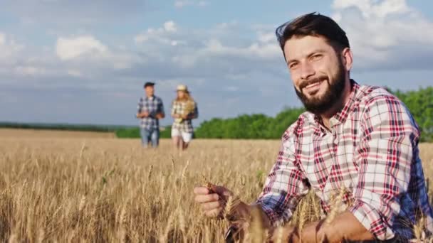 Grande campo di grano uomo carismatico contadino di fronte alla telecamera sorridente grande analizza il grano sullo sfondo vecchio contadino e signora discutendo qualcosa — Video Stock