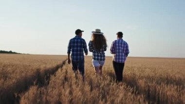 Büyük buğday tarlasında olgun erkek çiftçi ve diğer erkek ve kadın birlikte yürürken bu yılın hasadını analiz ediyorlar.