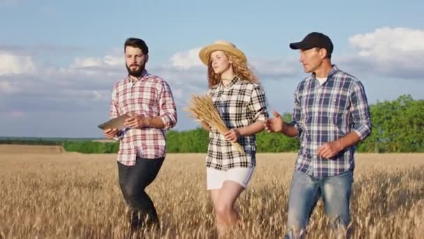 In un grande bel grano giovane un contadino carismatico con la sua famiglia passeggia nel grano e con una tavoletta prendono appunti sulla vendemmia di quest'anno. Girato su ARRI Alexa Mini. — Video Stock