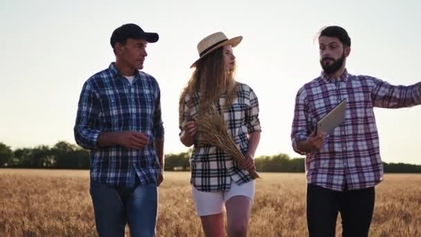 Familia campesina caminando juntos en el campo de trigo tienen una discusión analizando con una tableta el siguiente paso para el trigo de oreja joven — Vídeos de Stock