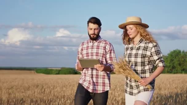 Giovane contadina e suo marito a piedi attraverso il campo di grano discutono circa il raccolto di successo — Video Stock