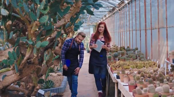 Redhead κηπουρός και κηπουρός άνθρωπος έχουν μια συζήτηση εργασίας στη μέση του τροπικού θερμοκηπίου αναλύουν την κατάσταση των διακοσμητικών φυτών — Αρχείο Βίντεο