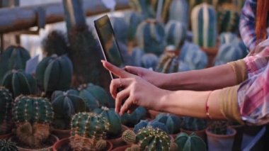Mutlu ve işine odaklanmış iki bahçıvan kadın ve adam elektronik tablet kullanan dekoratif bitkilerin fotoğraflarını çekiyorlar.