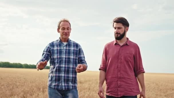 小麦畑を歩いている2人の農家の老人と若者は、農業に関する将来の計画を非常に集中的に分析しています。ARRIアレクサミニで撮影 — ストック動画