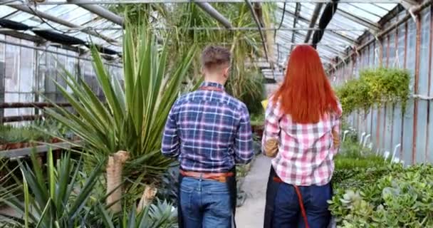 В оранжерее два флориста мужчина и женщина имеют забавный разговор после того, как они заканчивают, чтобы проверить все растения леди держит карту с записками в руках — стоковое видео